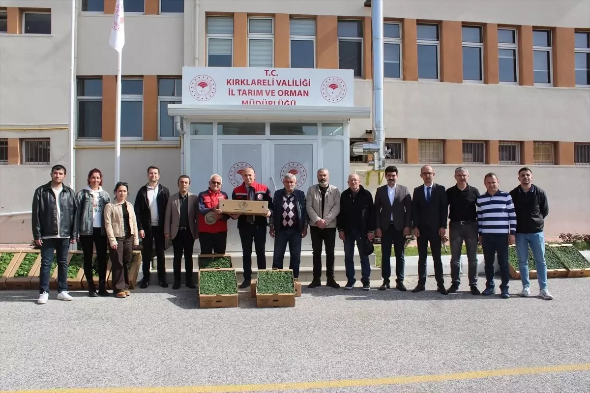 Kırklareli’nde 30 Bin Sebze Fidesi Dağıtıldı